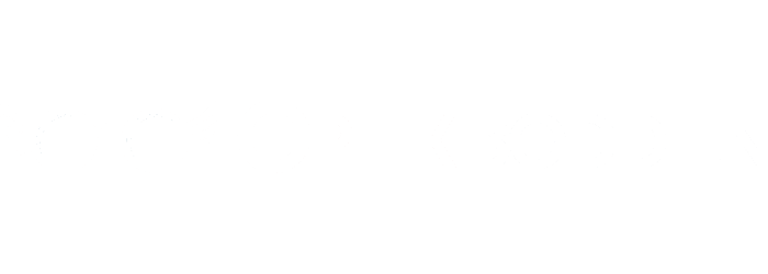 Optik Boddien